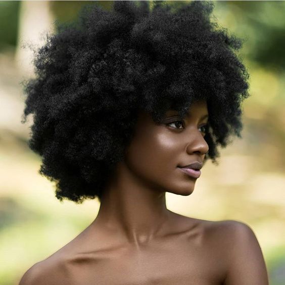 pintrest fro